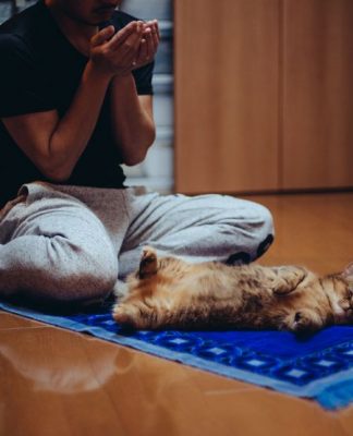 Bulu kucing najis atau tidak? Sahkah solat jika pakaian melekat bulu