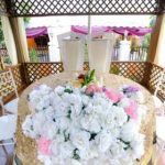 imagery-wieda1720-380×280