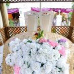 imagery-wieda1720-800×460