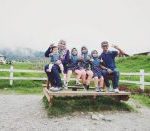 sawah-padi-1-200×131