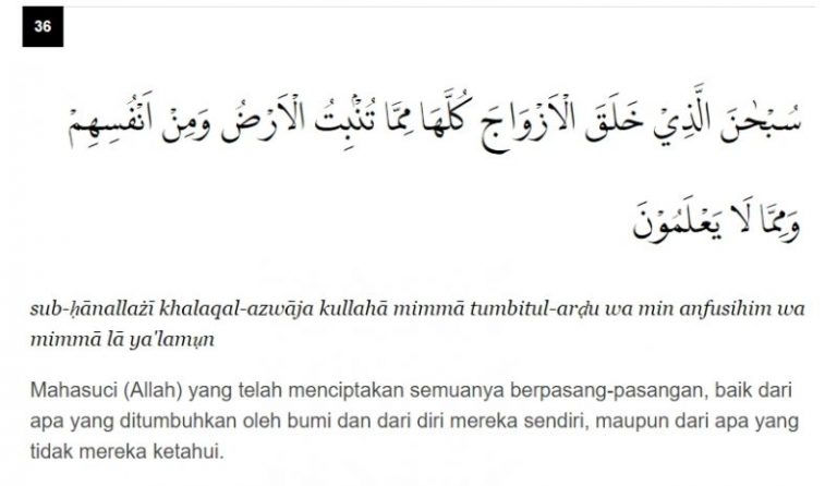 Doa Cari Jodoh, Amalkan Surah Yasin Ayat 36