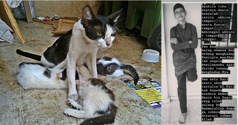 Betul-betul Pencinta Kucing Yang Sejati, Bakti Pemuda Ini Hingga Ke Hujung Nafas