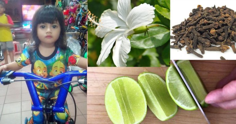 Guna Bunga Raya Putih, Limau Nipis & Bunga Cengkih Turunkan Suhu Badan Tinggi