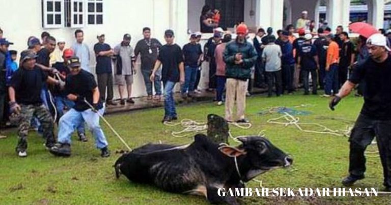 Penting Kena Tahu Waktu Terbaik Buat Korban