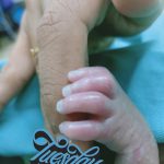 76751670-3186524411392586-6882675148990709760-n