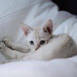 54434444_10217987170733504_5135506161197383680_n