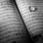 4201068236_f348069b1e_b