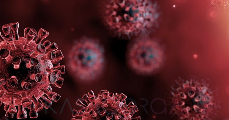 “Pencilkan Diri Ribuan Tahun & Simpan Rapat Virus Ini, Tapi Disebabkan Nafsu…” – Fahami Sekeping Surat Dari ‘Kelawar’ Untuk Manusia
