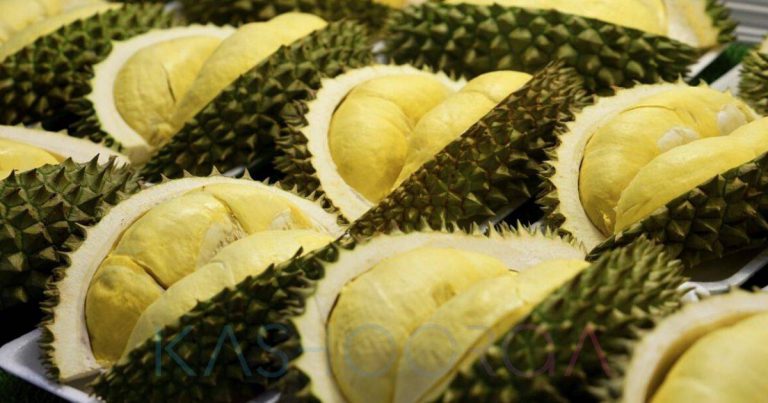 Hukum Mulut Berbau Makan Durian Hingga ‘Ganggu’ Jemaah Lain Waktu Solat