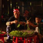 pexels-your-photo-trips-2795670