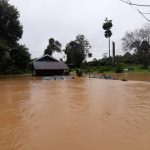 134122749_1794946450652962_5041399363636245162_o