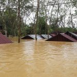 135546484_1794946380652969_3096776186866529882_o