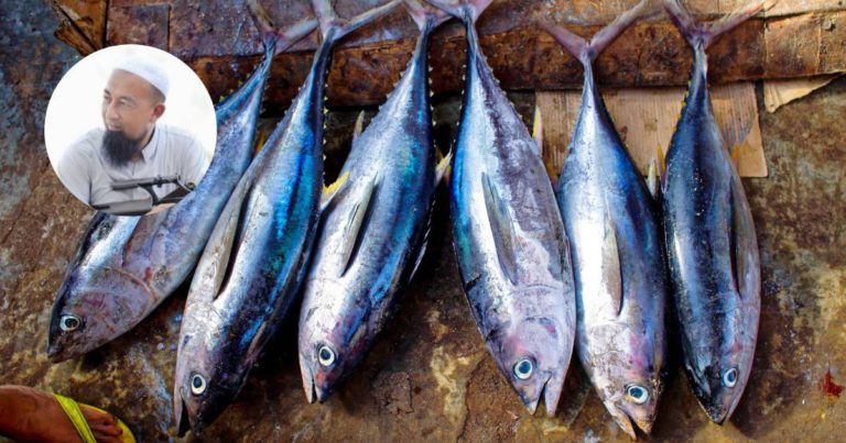 Hukum Makan Darah Ikan. ‘Sebelum Masak, Wajib Bersihkan Darah & Kotoran Dalam Perut Ikan.’