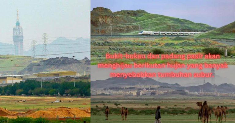 Padang Pasir Subur, Bumi Makkah Mula Menghijau Selepas Hujan Antara Petanda Kiamat Sudah Dekat