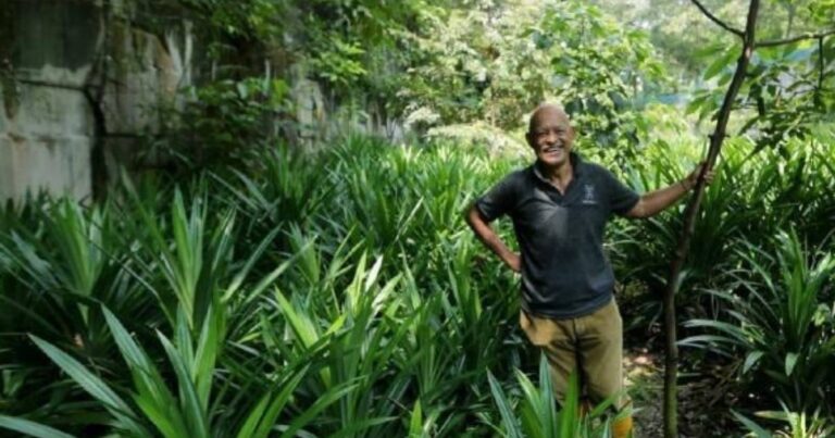 Agungnya Kasih Seorang Ayah. ‘Saya Berkebun Sebelah Kubur Kerana Mahu Dekat Dengan Arwah Anak.’