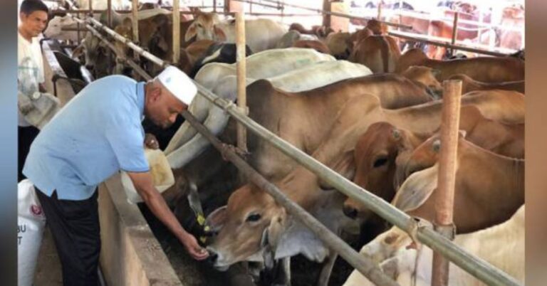 Kesilapan & Salah Faham Dalam Melaksanakan Ibadah Korban. Elak 7 Perkara Ini