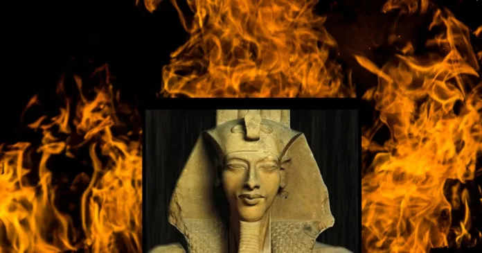 Untitled design - 2025-10-09T111322.818