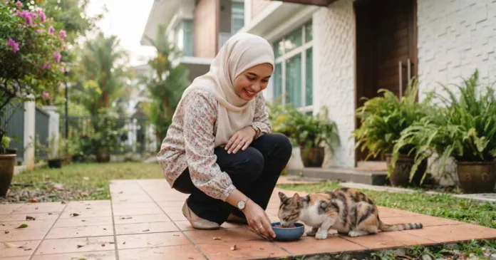 Kucing